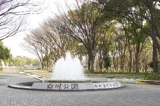 白川公園の写真