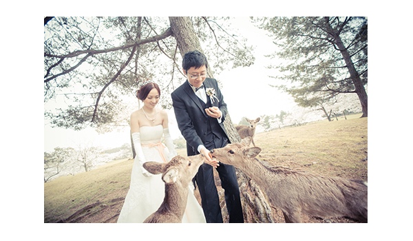ETHOS photographの撮影写真9
