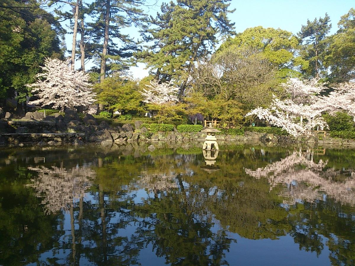 中村公園の写真