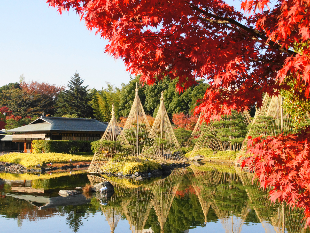 白鳥公園の写真