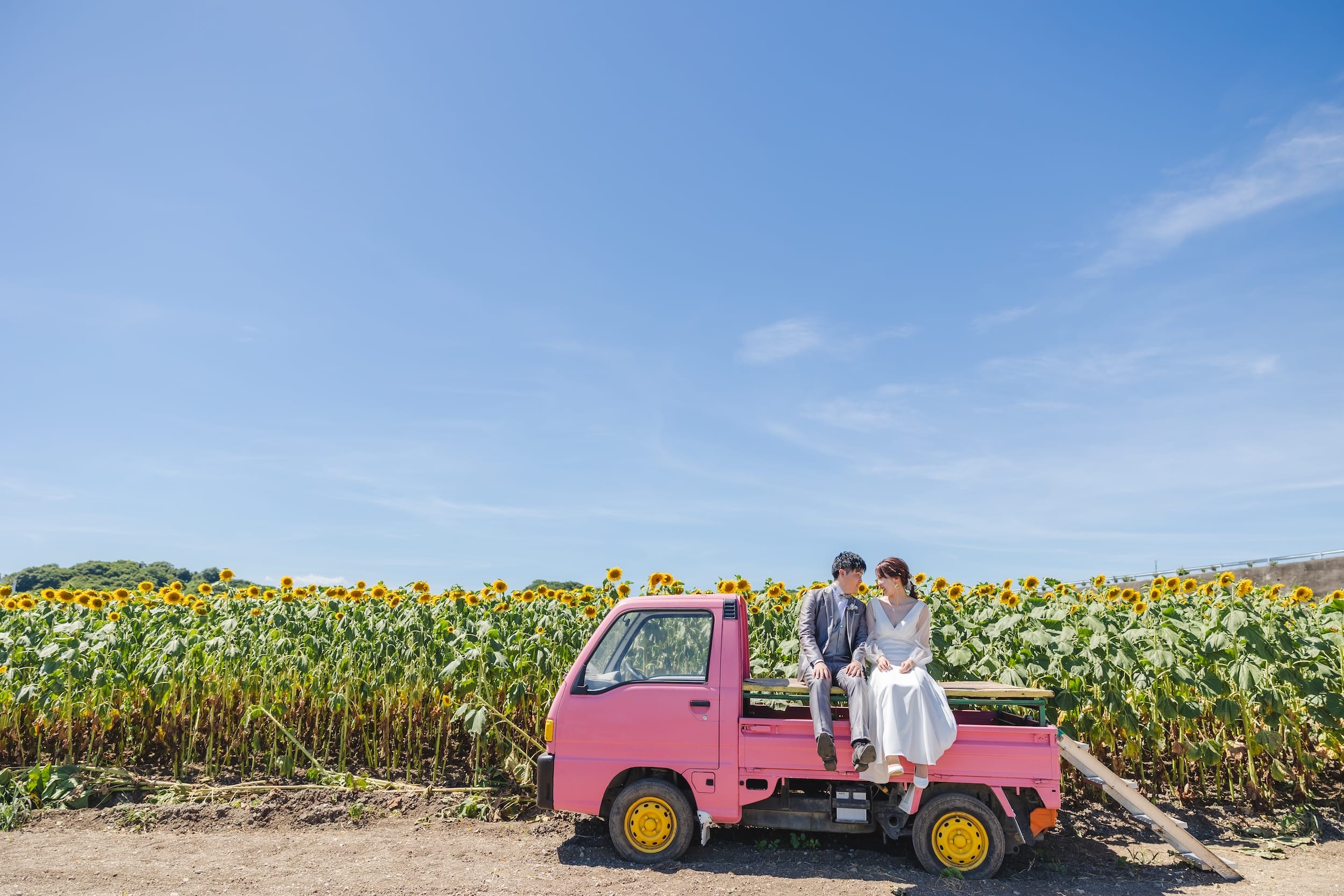 花ひろばの画像その1