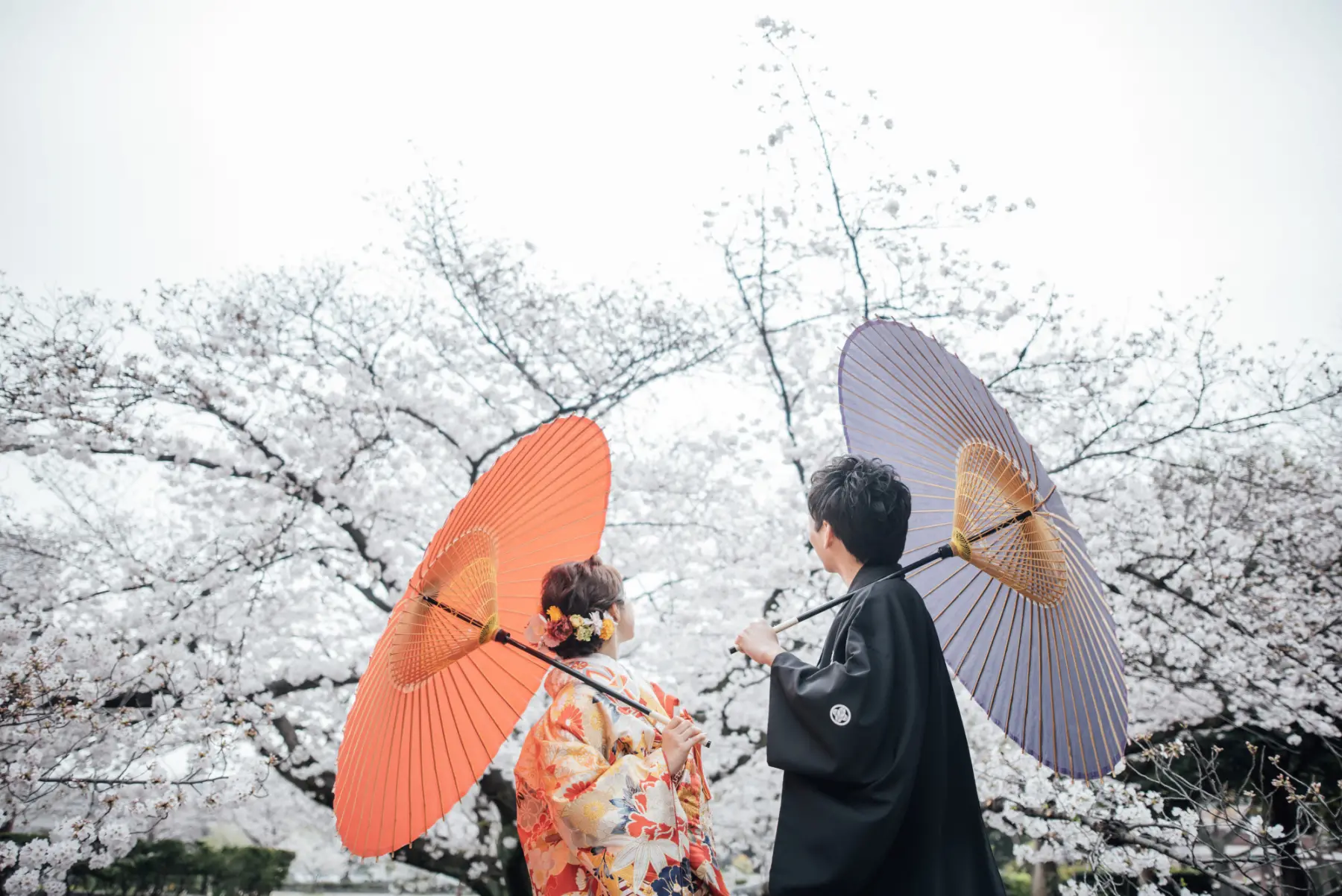 名城公園の画像