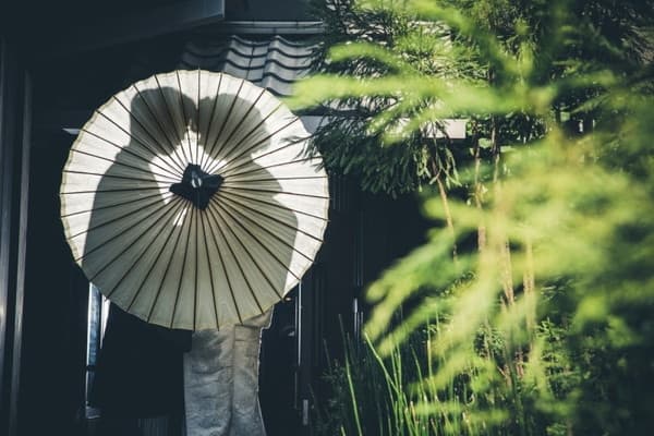 百花籠の撮影写真4