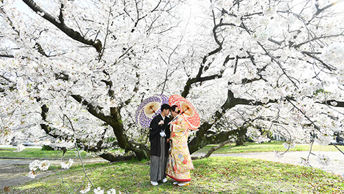 K’s factory Photo&Movieの撮影写真12
