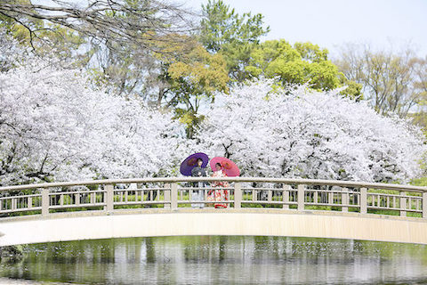 ロケーションフォトウェディング名古屋のお客様画像14