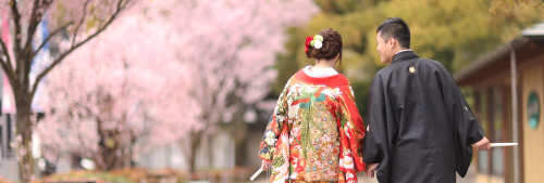 MaiBRIDE9の画像