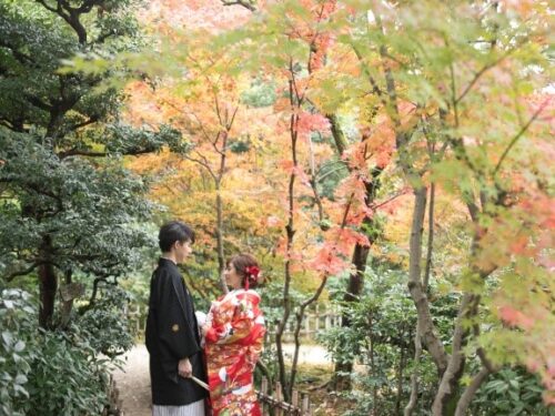no-toの撮影写真5