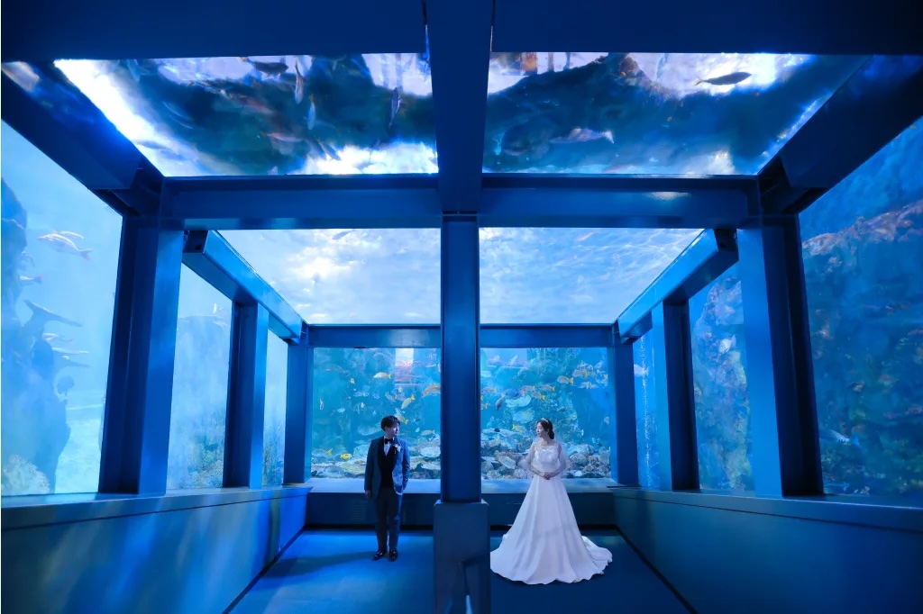 鳥羽水族館の画像その2