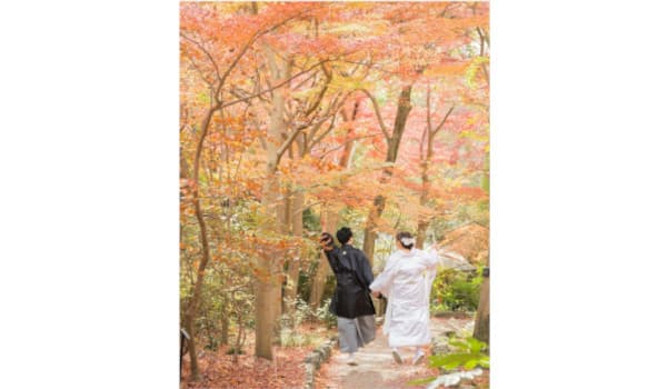 vivid4の画像