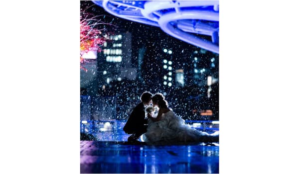 vivid5の画像