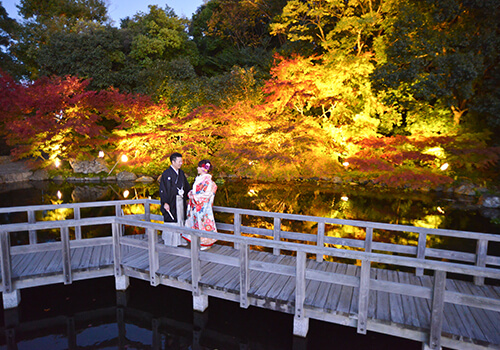 Vivid7の画像